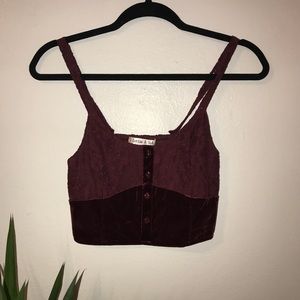 Velvet and Lace Crop